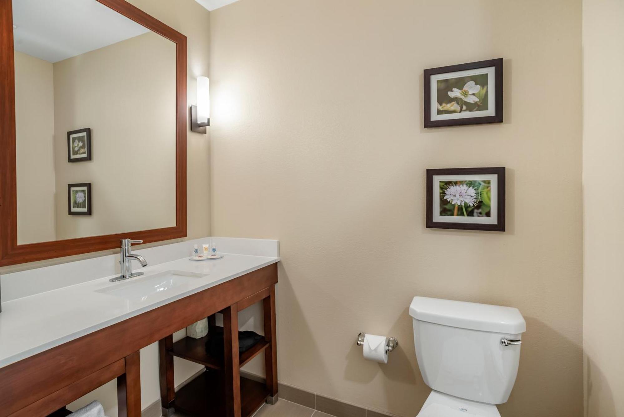 Comfort Inn & Suites وينشستر الغرفة الصورة